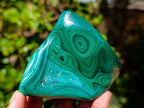 Polished Flower Banded Malachite Free Forms x 2 From Congo - Toprock Gemstones and Minerals 