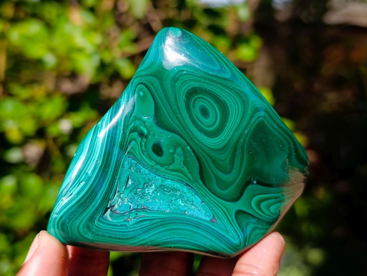 Polished Flower Banded Malachite Free Forms x 2 From Congo - Toprock Gemstones and Minerals 