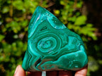Polished Flower Banded Malachite Free Forms x 2 From Congo - Toprock Gemstones and Minerals 