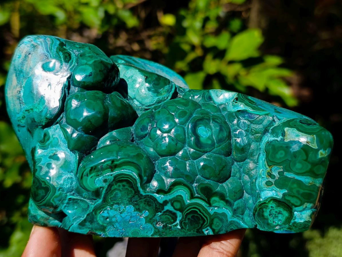 Polished Flower Banded Malachite Free Forms x 2 From Congo - Toprock Gemstones and Minerals 