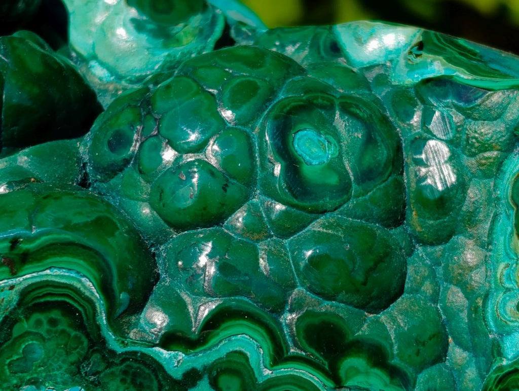 Polished Flower Banded Malachite Free Forms x 2 From Congo - Toprock Gemstones and Minerals 