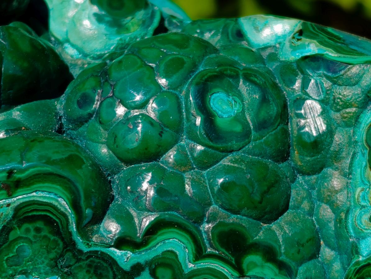 Polished Flower Banded Malachite Free Forms x 2 From Congo - Toprock Gemstones and Minerals 