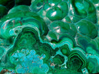 Polished Flower Banded Malachite Free Forms x 2 From Congo - Toprock Gemstones and Minerals 