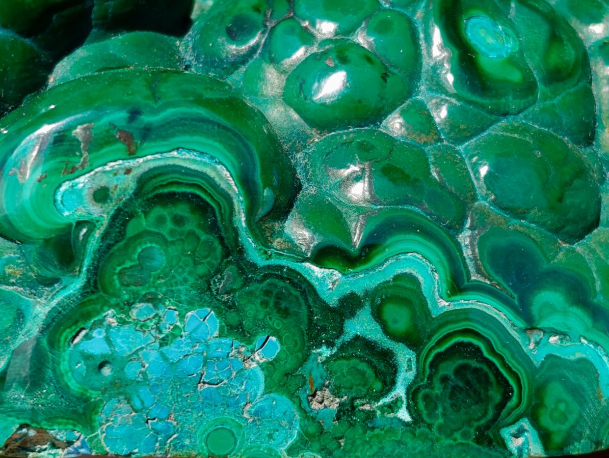 Polished Flower Banded Malachite Free Forms x 2 From Congo - Toprock Gemstones and Minerals 
