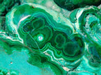 Polished Flower Banded Malachite Free Forms x 2 From Congo - Toprock Gemstones and Minerals 