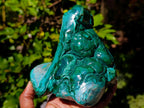 Polished Flower Banded Malachite Free Forms x 2 From Congo - Toprock Gemstones and Minerals 