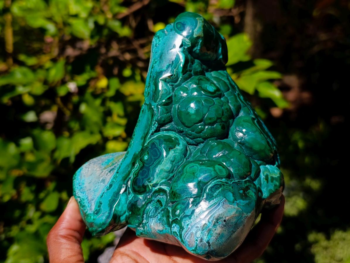 Polished Flower Banded Malachite Free Forms x 2 From Congo - Toprock Gemstones and Minerals 