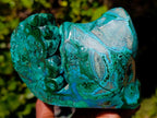 Polished Flower Banded Malachite Free Forms x 2 From Congo - Toprock Gemstones and Minerals 