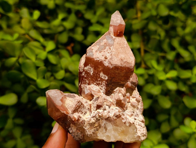 Natural Red Hematoid Quartz Crystals and Clusters x 6 From Karoi, Zimbabwe - Toprock Gemstones and Minerals 