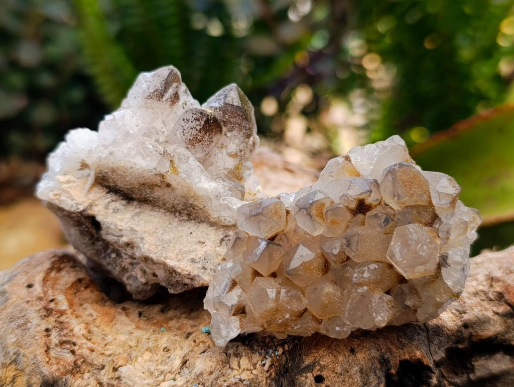 Natural Limonite Quartz Clusters x 35 From Solwezi, Zambia - Toprock Gemstones and Minerals 