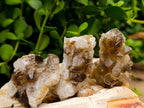 Natural Limonite Quartz Clusters x 35 From Solwezi, Zambia - Toprock Gemstones and Minerals 