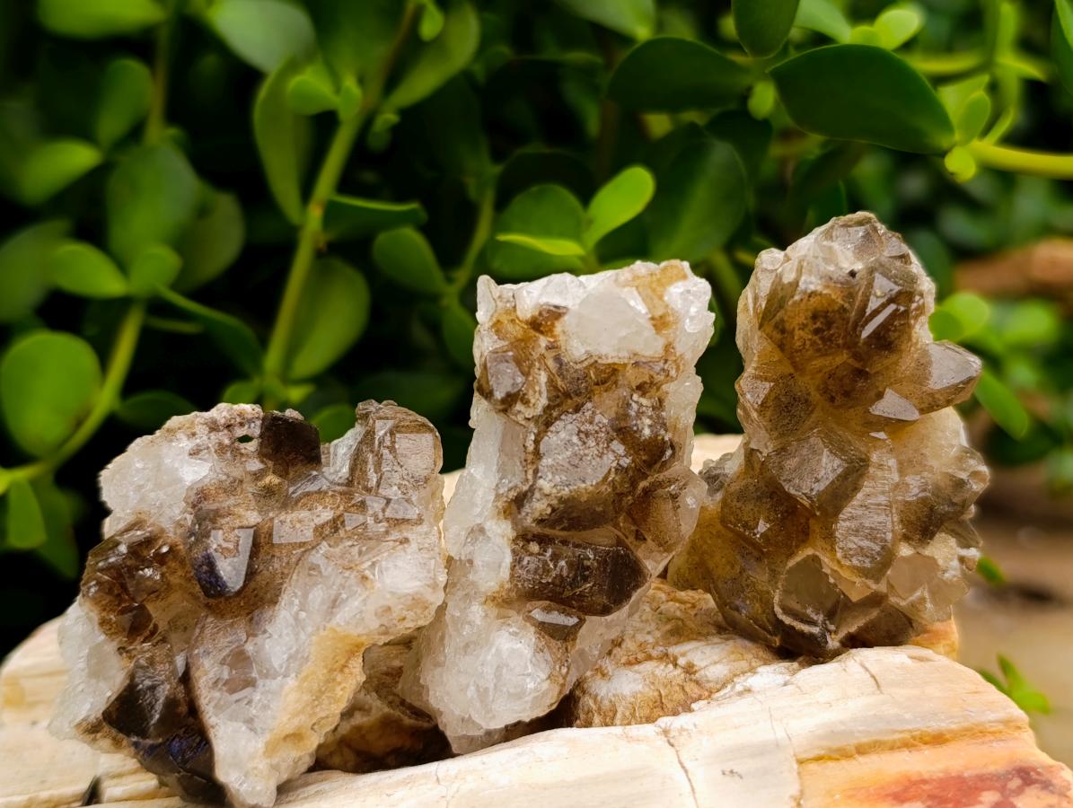 Natural Limonite Quartz Clusters x 35 From Solwezi, Zambia - Toprock Gemstones and Minerals 