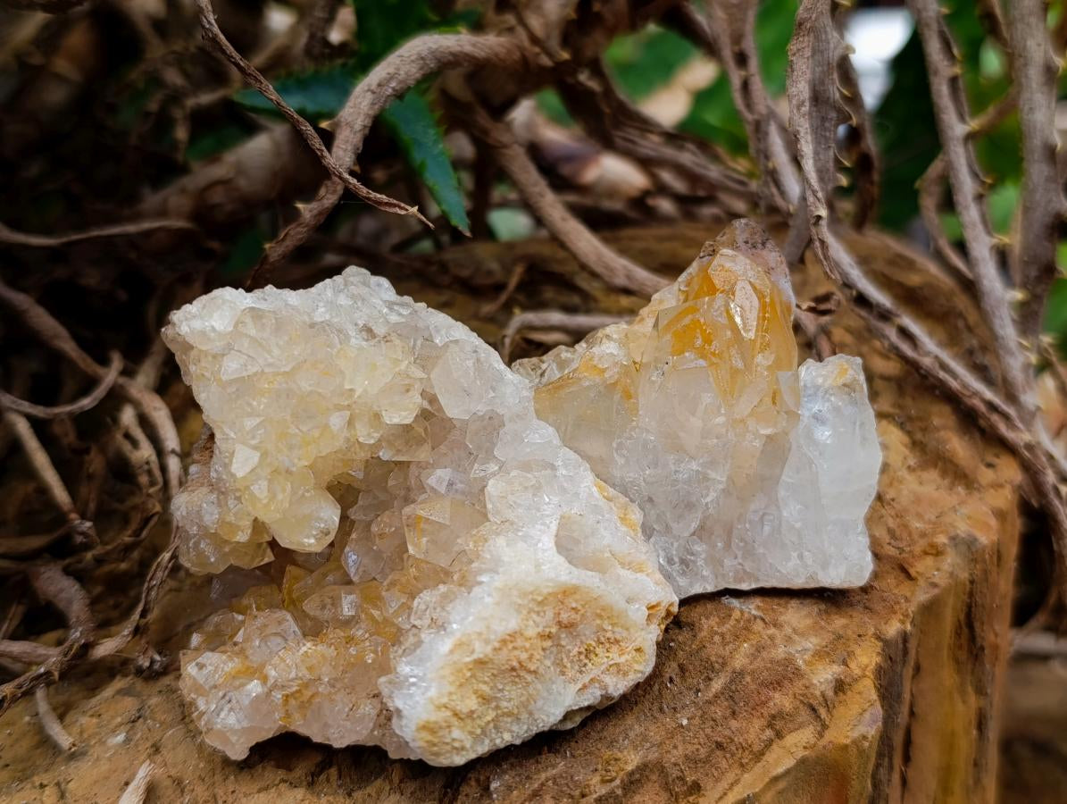 Natural Limonite Quartz Clusters x 35 From Solwezi, Zambia - Toprock Gemstones and Minerals 