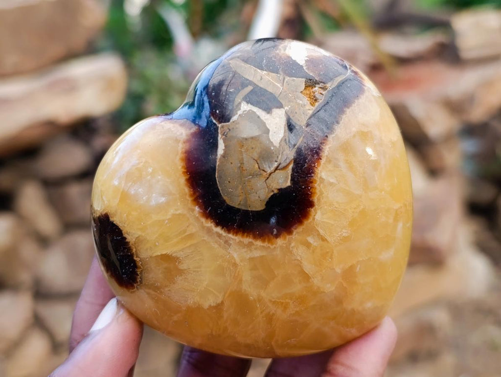 Polished Septerye Hearts x 12 From Mahajanga, Madagascar - Toprock Gemstones and Minerals 