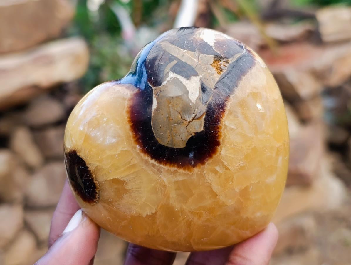 Polished Septerye Hearts x 12 From Mahajanga, Madagascar - Toprock Gemstones and Minerals 