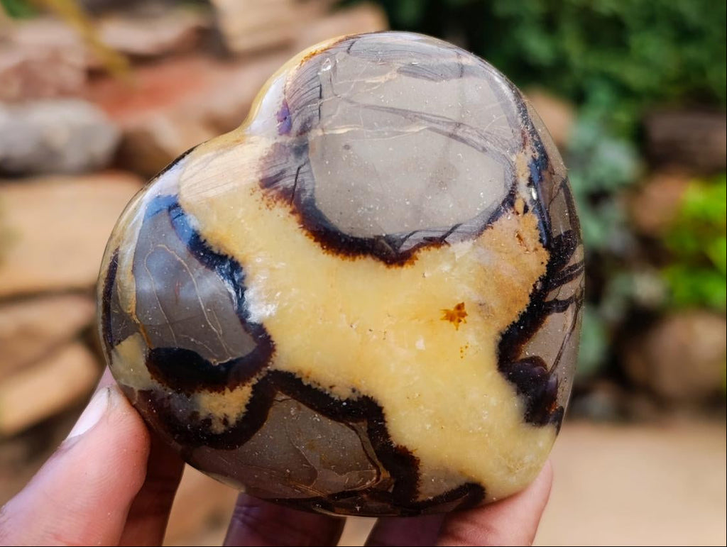 Polished Septerye Hearts x 12 From Mahajanga, Madagascar - Toprock Gemstones and Minerals 