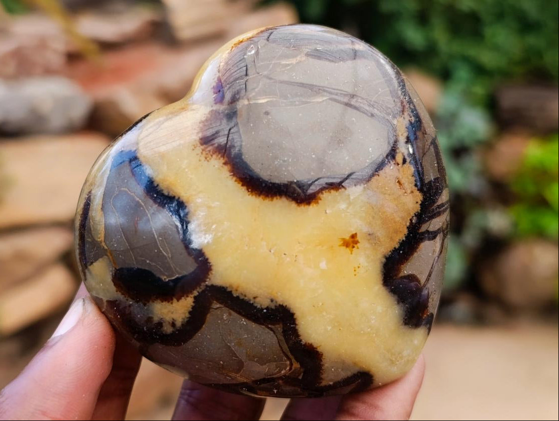 Polished Septerye Hearts x 12 From Mahajanga, Madagascar - Toprock Gemstones and Minerals 