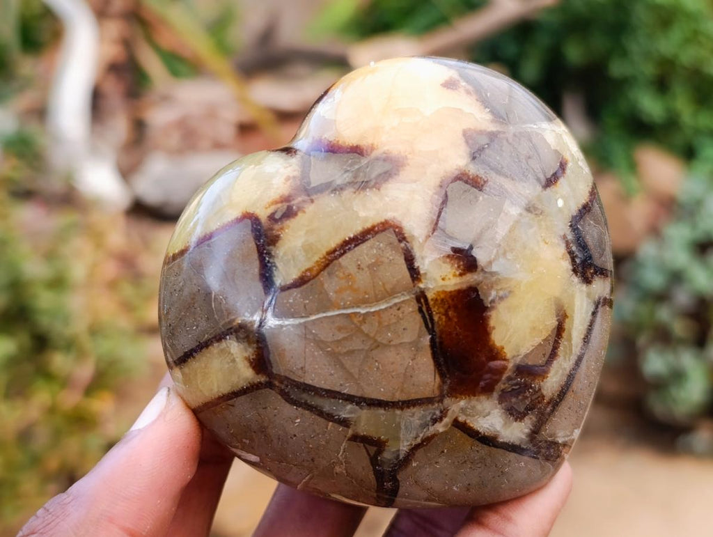 Polished Septerye Hearts x 12 From Mahajanga, Madagascar - Toprock Gemstones and Minerals 