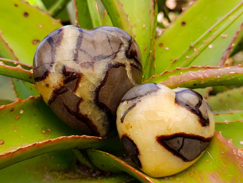 Polished Septerye Hearts x 12 From Mahajanga, Madagascar - Toprock Gemstones and Minerals 