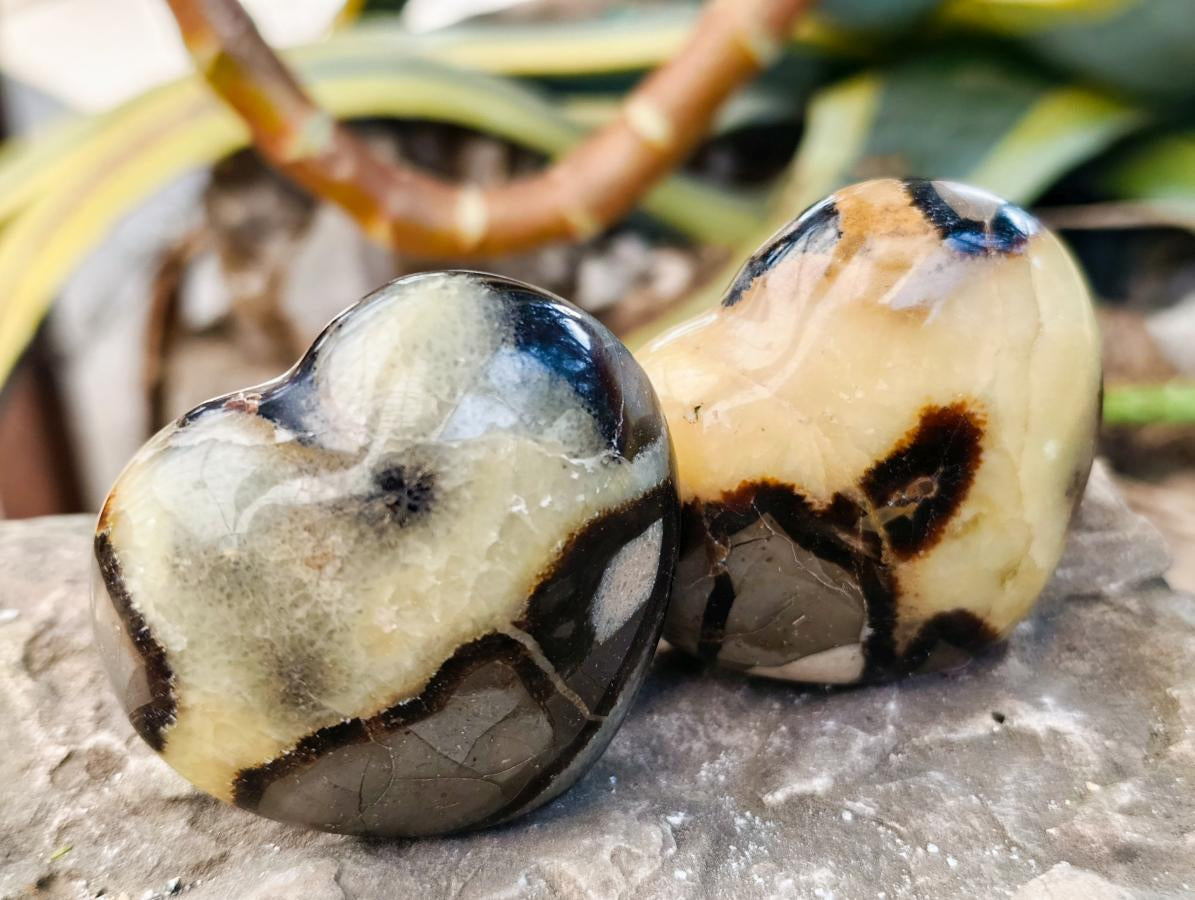 Polished Septerye Hearts x 12 From Mahajanga, Madagascar - Toprock Gemstones and Minerals 