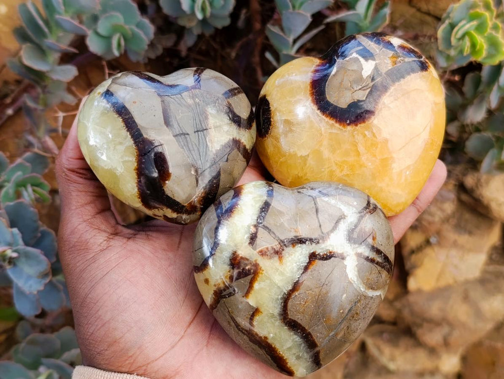 Polished Septerye Hearts x 12 From Mahajanga, Madagascar - Toprock Gemstones and Minerals 