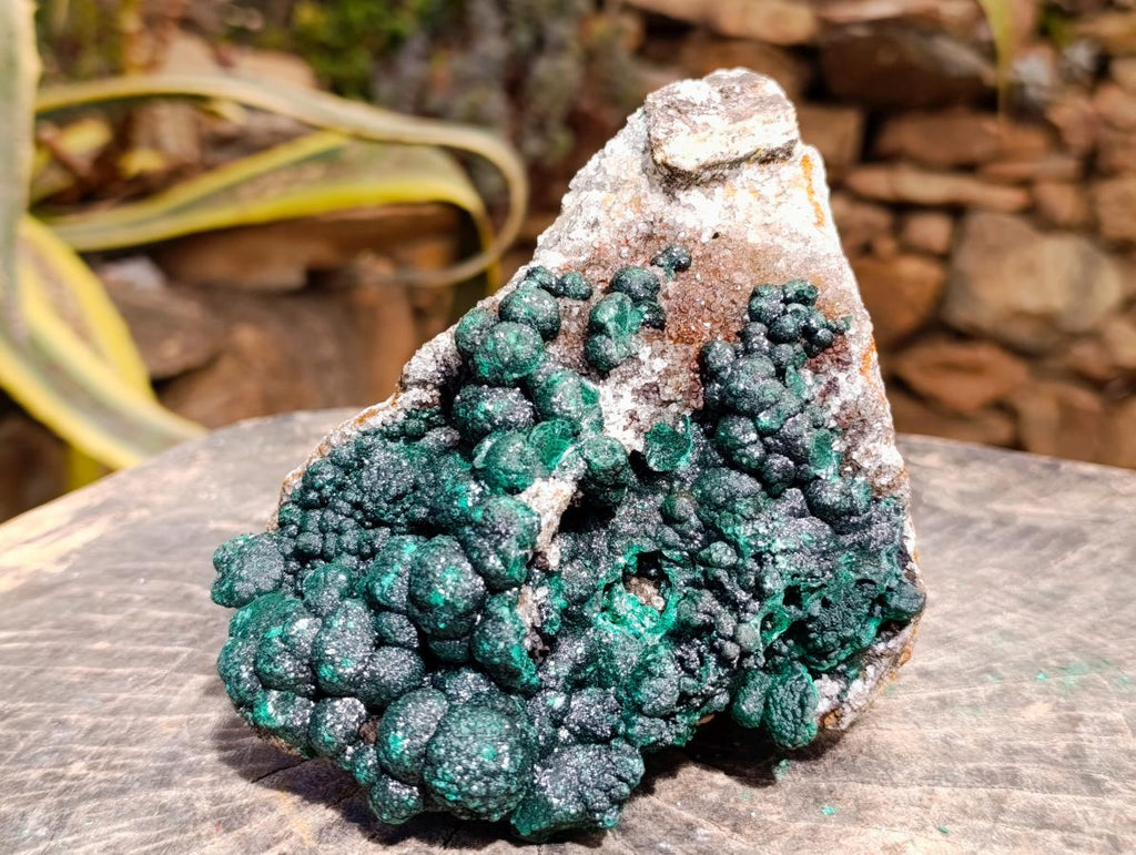 Natural Silky Ball Malachite and Drusy Quartz on Dolomite Specimen x 1 From Mindingi Mine, Kambove, Congo - Toprock Gemstones and Minerals 