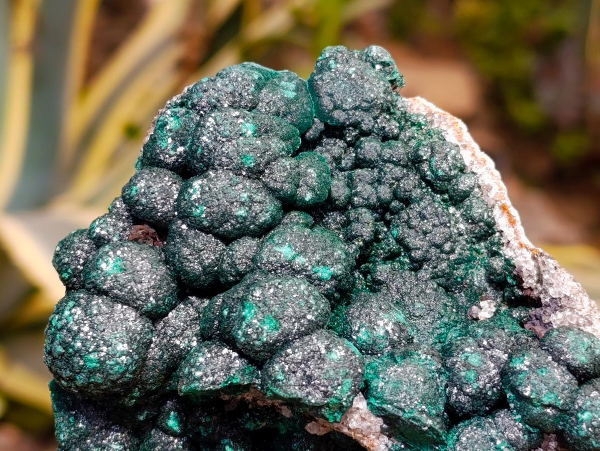 Natural Silky Ball Malachite and Drusy Quartz on Dolomite Specimen x 1 From Mindingi Mine, Kambove, Congo - Toprock Gemstones and Minerals 