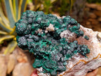 Natural Silky Ball Malachite and Drusy Quartz on Dolomite Specimen x 1 From Mindingi Mine, Kambove, Congo - Toprock Gemstones and Minerals 