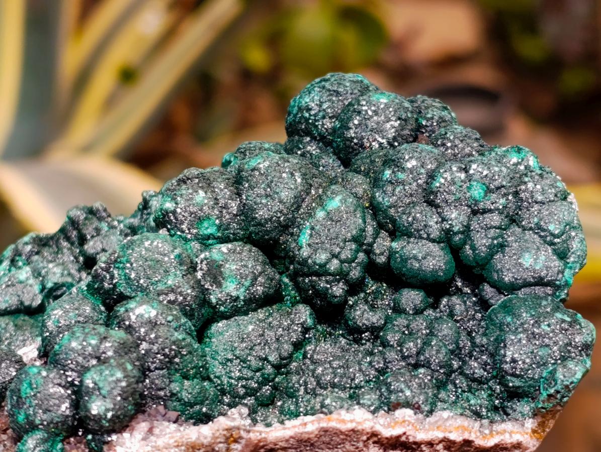 Natural Silky Ball Malachite and Drusy Quartz on Dolomite Specimen x 1 From Mindingi Mine, Kambove, Congo - Toprock Gemstones and Minerals 