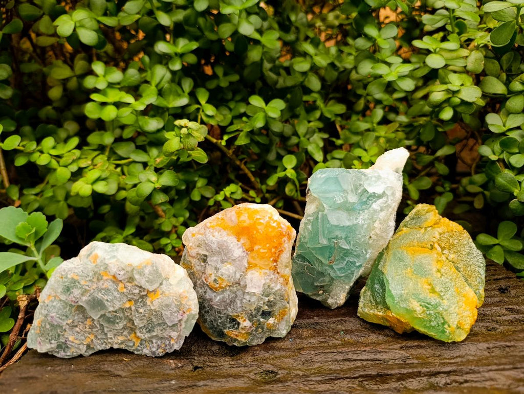 Natural Dark Green and Purple Cubic Fluorite Specimens x 4 From Uis, Namibia - Toprock Gemstones and Minerals 