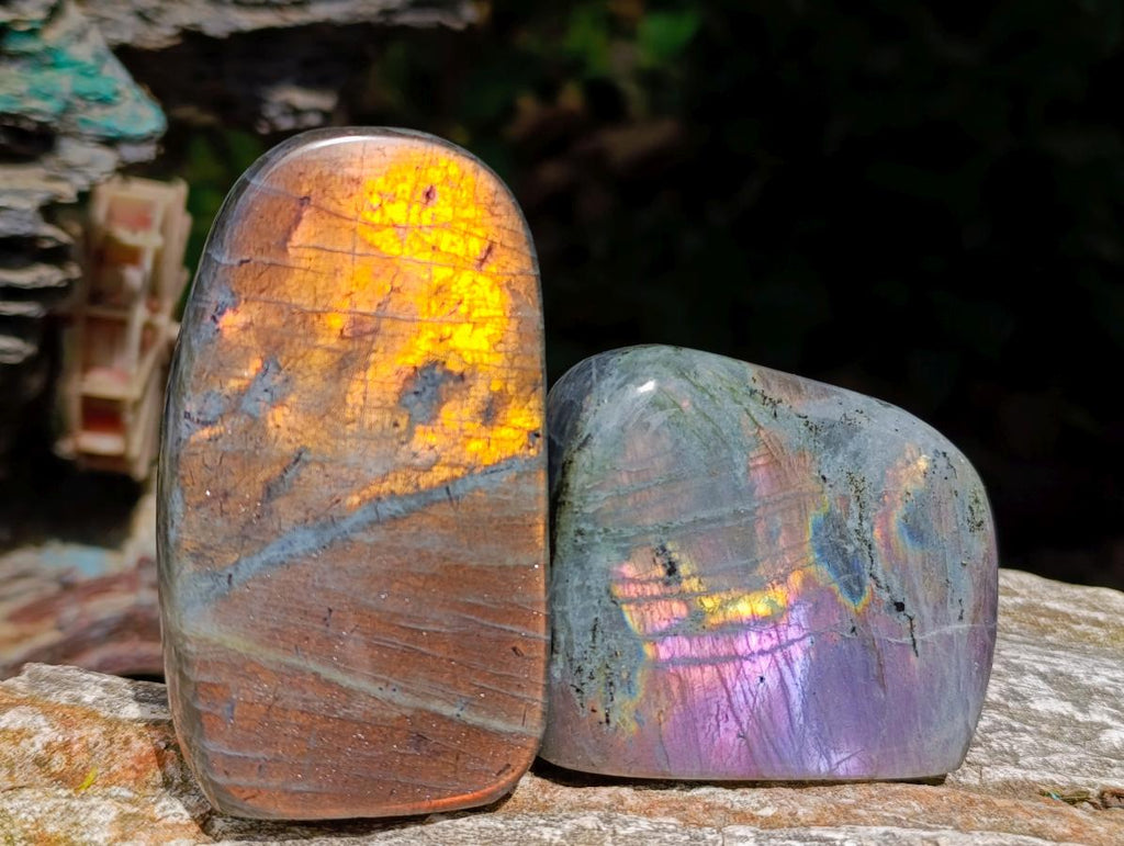 Polished Rare Purple Sunset Flash Labradorite Standing Free Forms x 6 From Madagascar - Toprock Gemstones and Minerals 