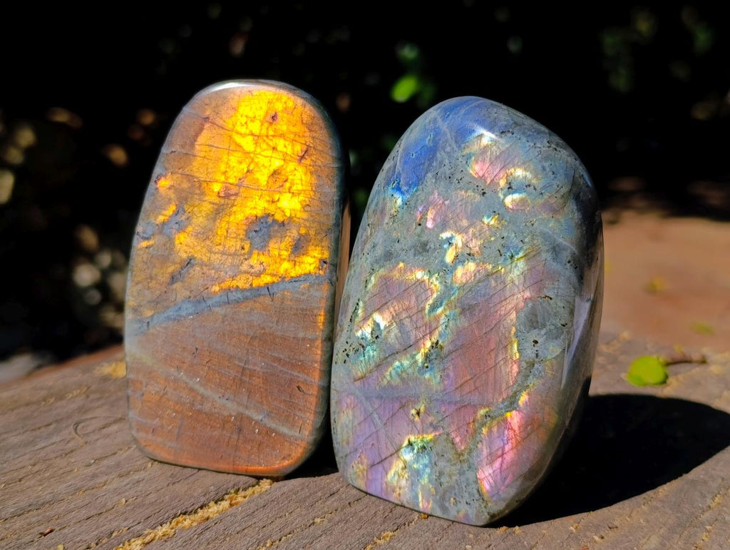 Polished Rare Purple Sunset Flash Labradorite Standing Free Forms x 6 From Madagascar - Toprock Gemstones and Minerals 