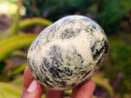Polished Leopard Stone Palm Stones x 6 From Zimbabwe - Toprock Gemstones and Minerals 