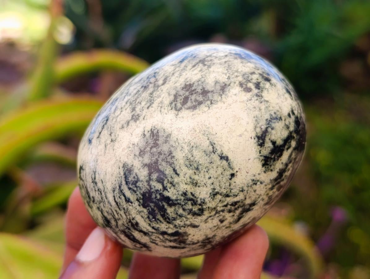 Polished Leopard Stone Palm Stones x 6 From Zimbabwe - Toprock Gemstones and Minerals 