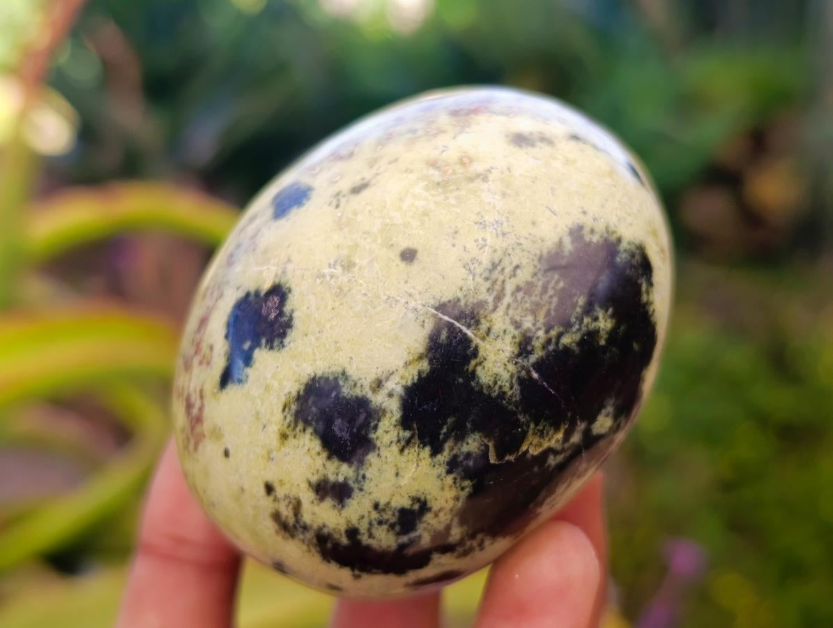 Polished Leopard Stone Palm Stones x 6 From Zimbabwe - Toprock Gemstones and Minerals 