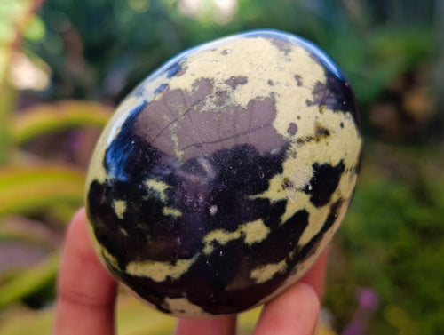 Polished Leopard Stone Palm Stones x 6 From Zimbabwe - Toprock Gemstones and Minerals 