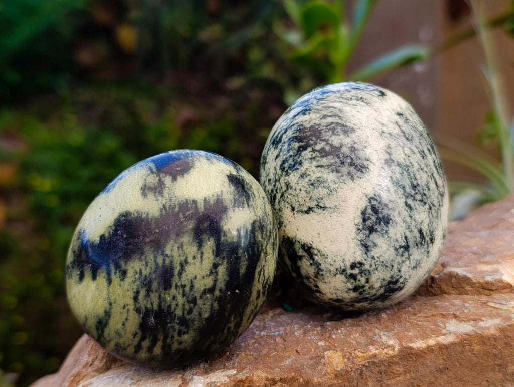 Polished Leopard Stone Palm Stones x 6 From Zimbabwe - Toprock Gemstones and Minerals 