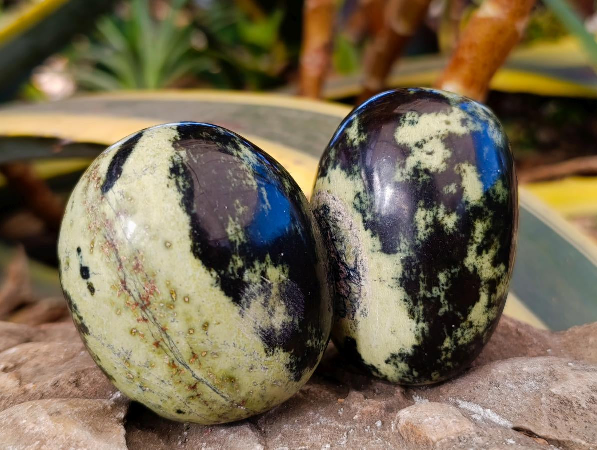 Polished Leopard Stone Palm Stones x 6 From Zimbabwe - Toprock Gemstones and Minerals 