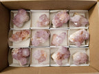 Natural Sunburst Spirit Amethyst Cactus Flower Clusters x 12 From Boekenhouthoek, South Africa - Toprock Gemstones and Minerals 