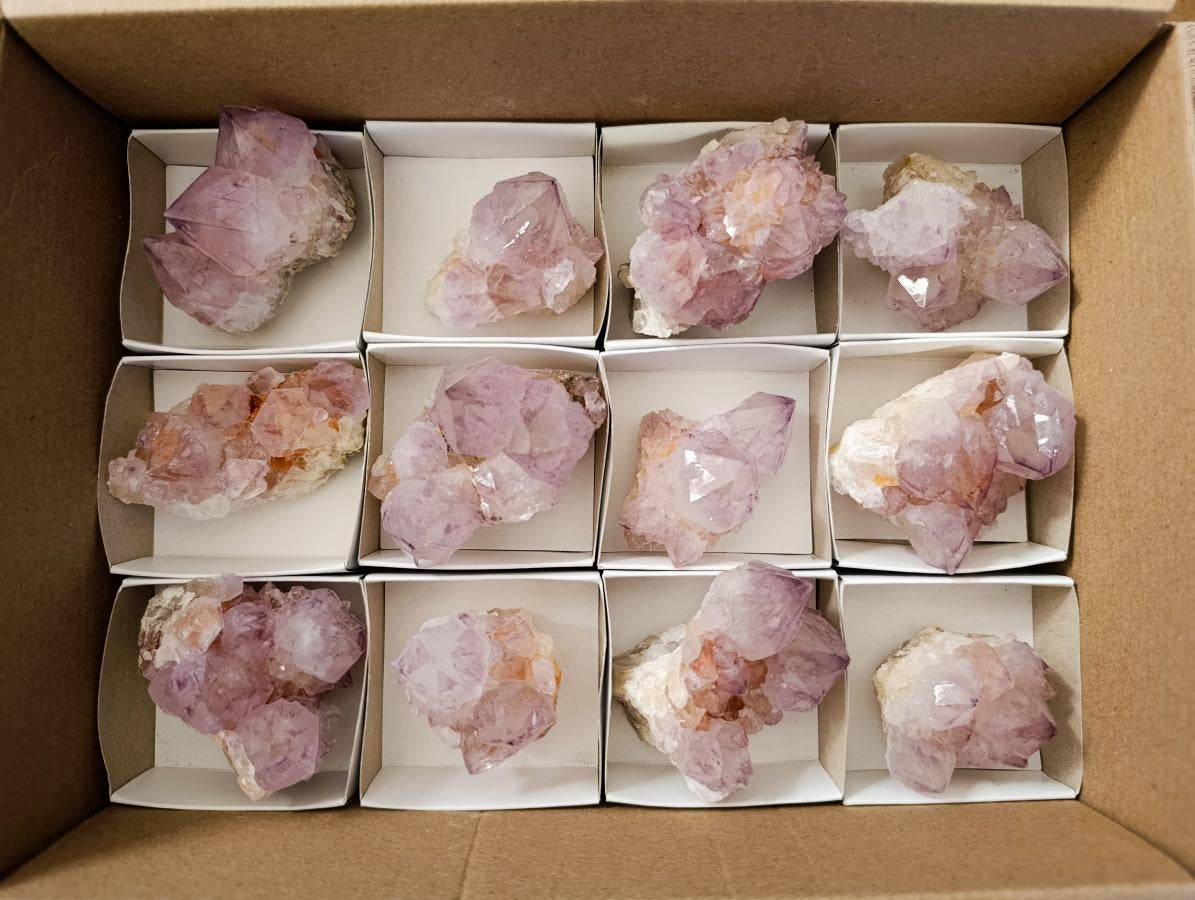 Natural Sunburst Spirit Amethyst Cactus Flower Clusters x 12 From Boekenhouthoek, South Africa - Toprock Gemstones and Minerals 