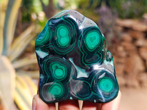 Polished Flower Banded Malachite Free Forms x 6 From Congo - Toprock Gemstones and Minerals 