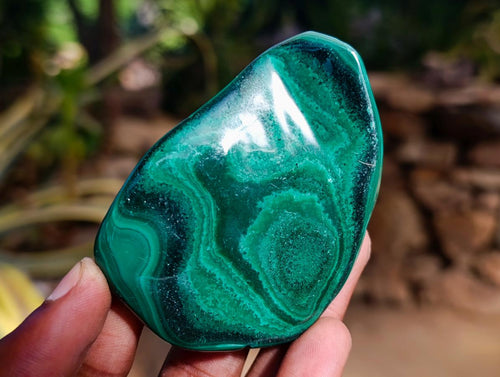 Polished Flower Banded Malachite Free Forms x 6 From Congo - Toprock Gemstones and Minerals 