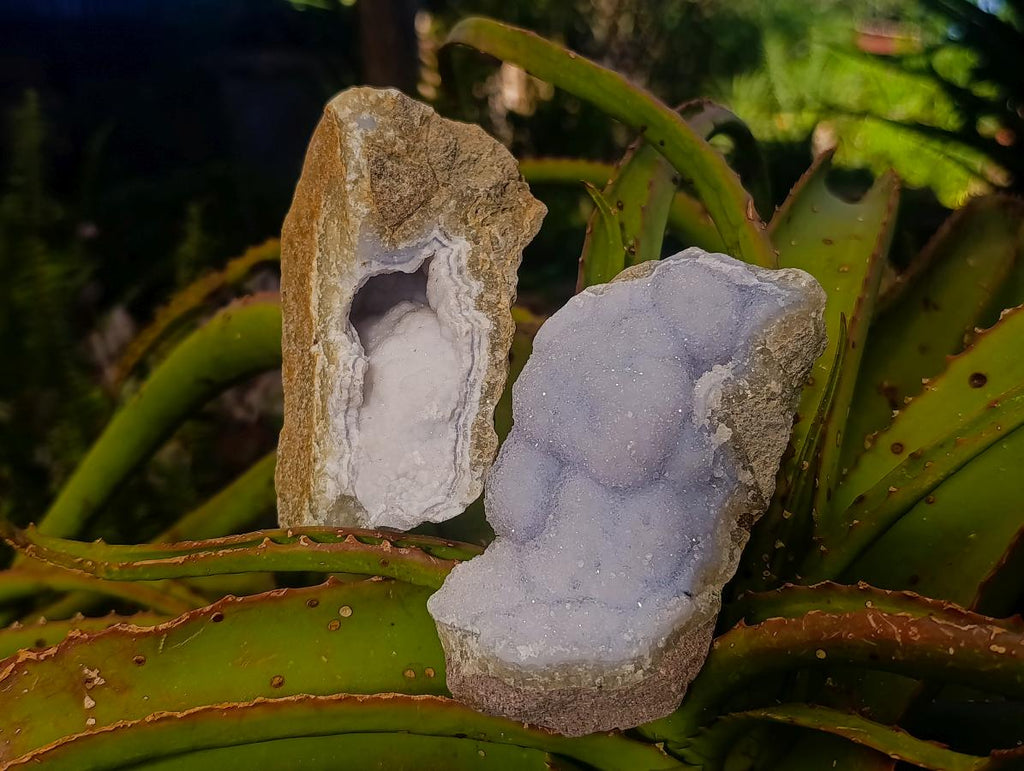Natural Blue Lace Agate Geode Specimens x 12 From Nsanje, Malawi - Toprock Gemstones and Minerals 