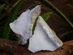 Natural Blue Lace Agate Geode Specimens x 12 From Nsanje, Malawi - Toprock Gemstones and Minerals 