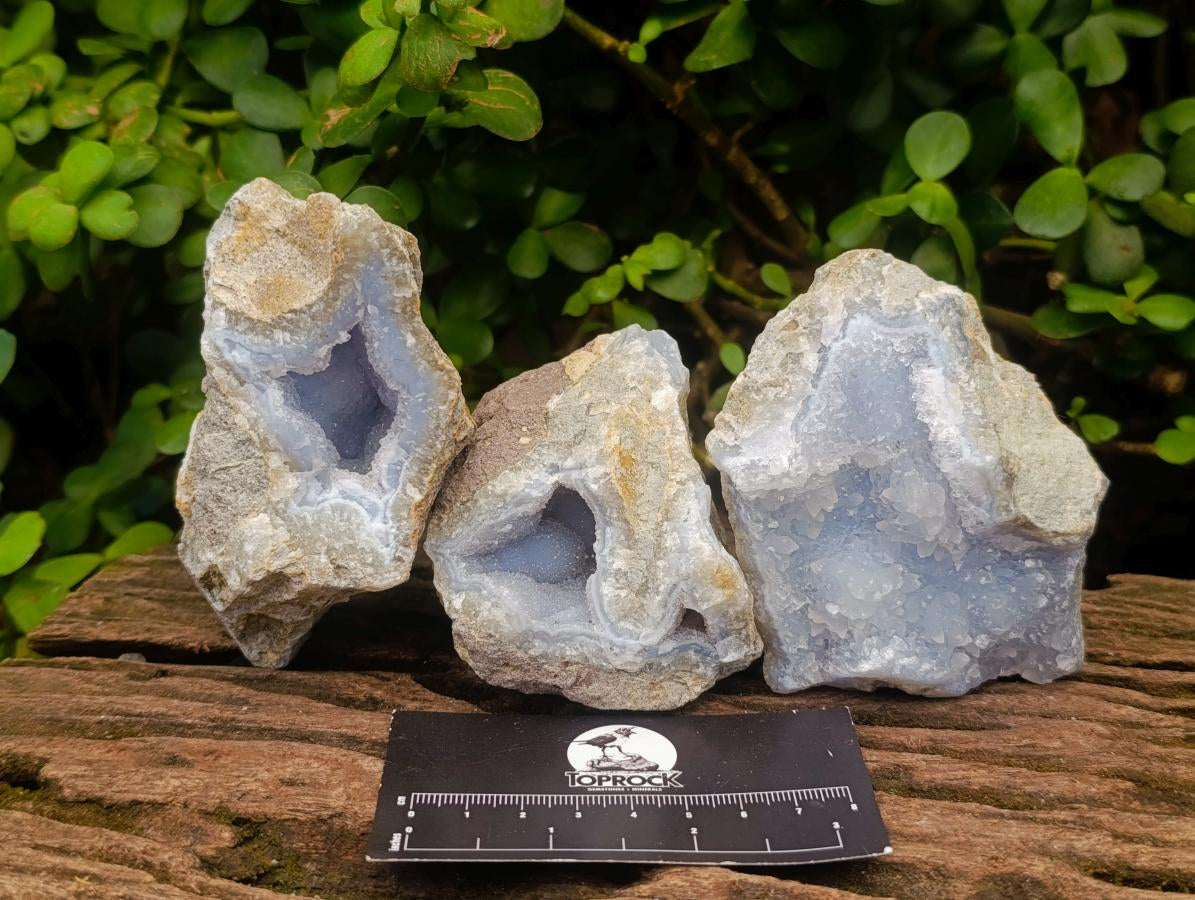 Natural Blue Lace Agate Geode Specimens x 12 From Nsanje, Malawi - Toprock Gemstones and Minerals 