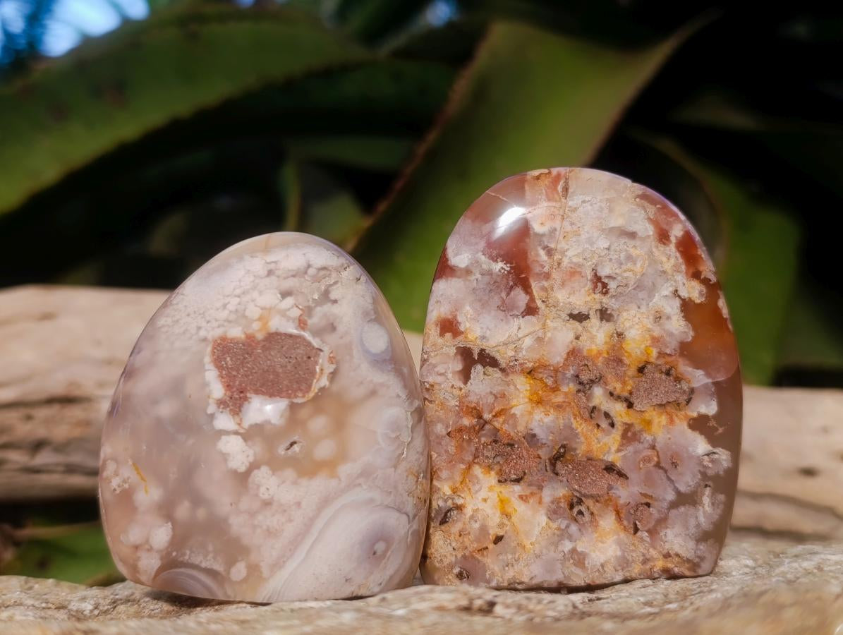 Polished Flower Agate Standing Display Pieces x 12 From Antsahalova, Madagascar - Toprock Gemstones and Minerals 