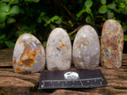 Polished Flower Agate Standing Display Pieces x 12 From Antsahalova, Madagascar - Toprock Gemstones and Minerals 