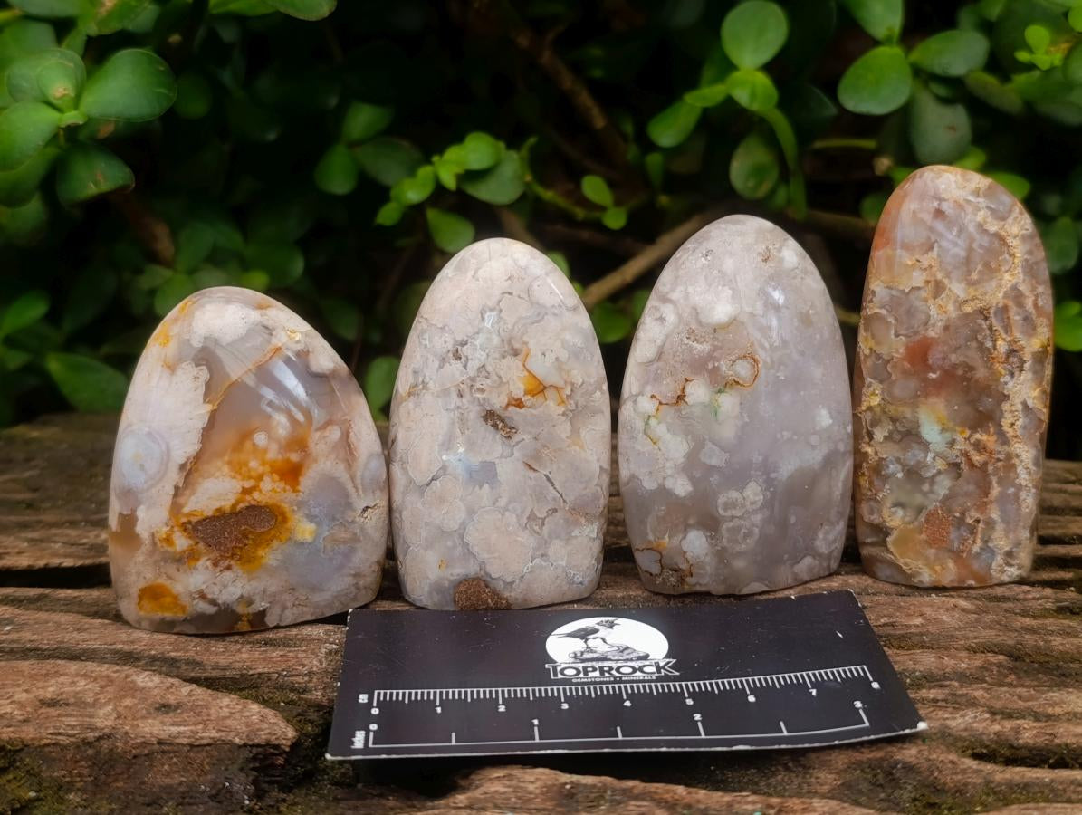 Polished Flower Agate Standing Display Pieces x 12 From Antsahalova, Madagascar - Toprock Gemstones and Minerals 