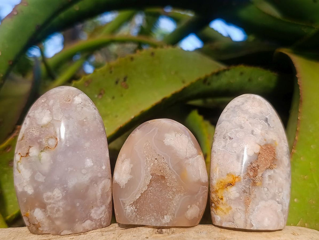 Polished Flower Agate Standing Display Pieces x 12 From Antsahalova, Madagascar - Toprock Gemstones and Minerals 