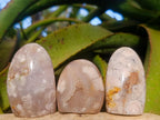 Polished Flower Agate Standing Display Pieces x 12 From Antsahalova, Madagascar - Toprock Gemstones and Minerals 